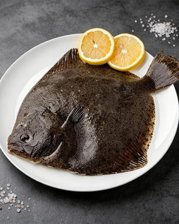 Super-Large Frozen Fresh Flounder