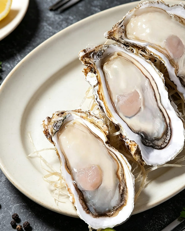 Rushan Fresh Frozen Oysters