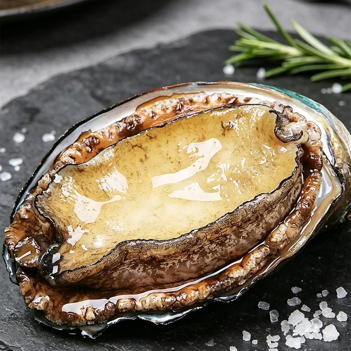 Frozen Fresh Large Abalone In-Shell