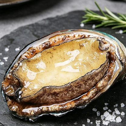 Frozen Fresh Large Abalone In-Shell
