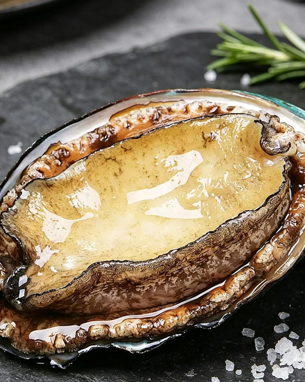 Frozen Fresh Large Abalone In-Shell