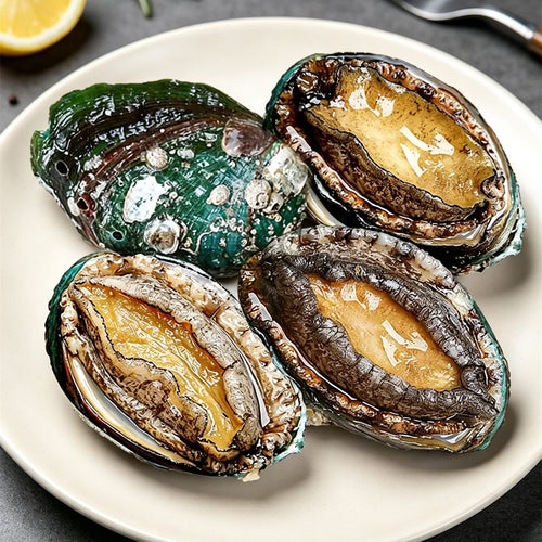 Frozen Fresh Large Abalone In-Shell